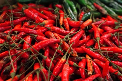 Objetivo híbrido Canon RF-S 18-150 mm f/3,5-6,3 IS STM - Imagen de 9